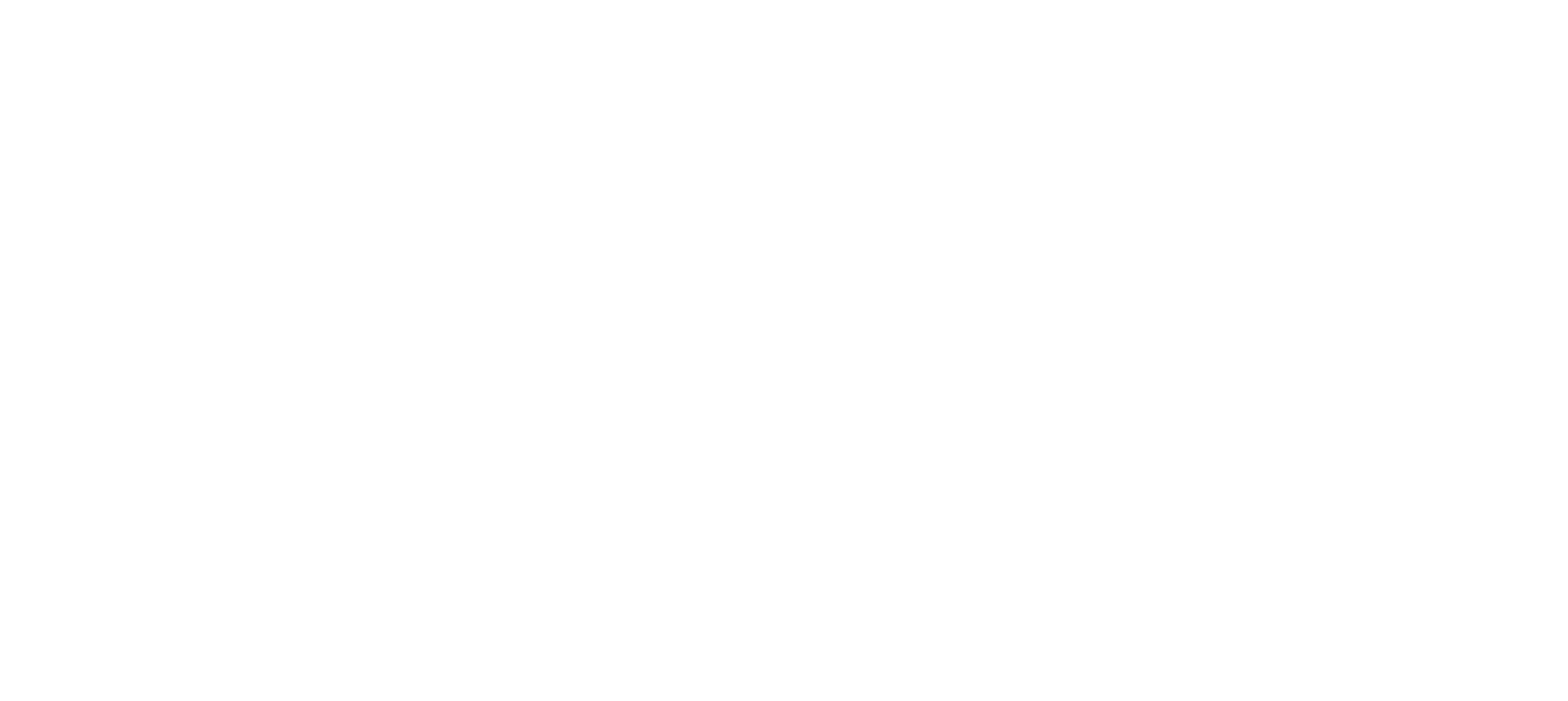 Dual Saúde